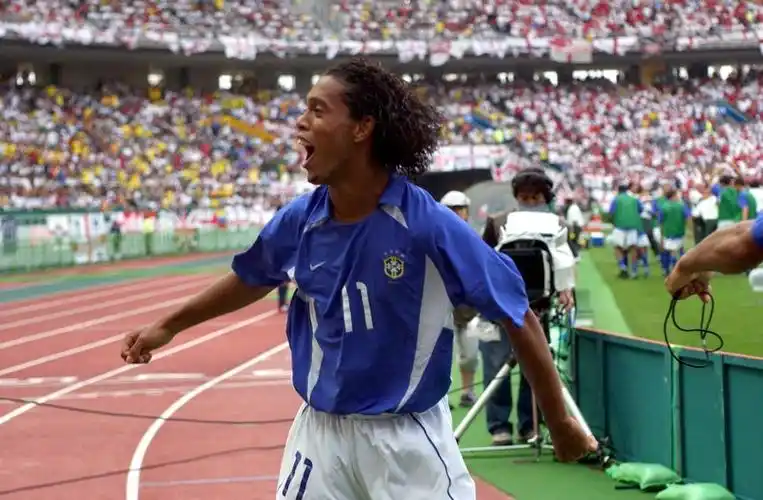 毛球界带来 毛球界带来