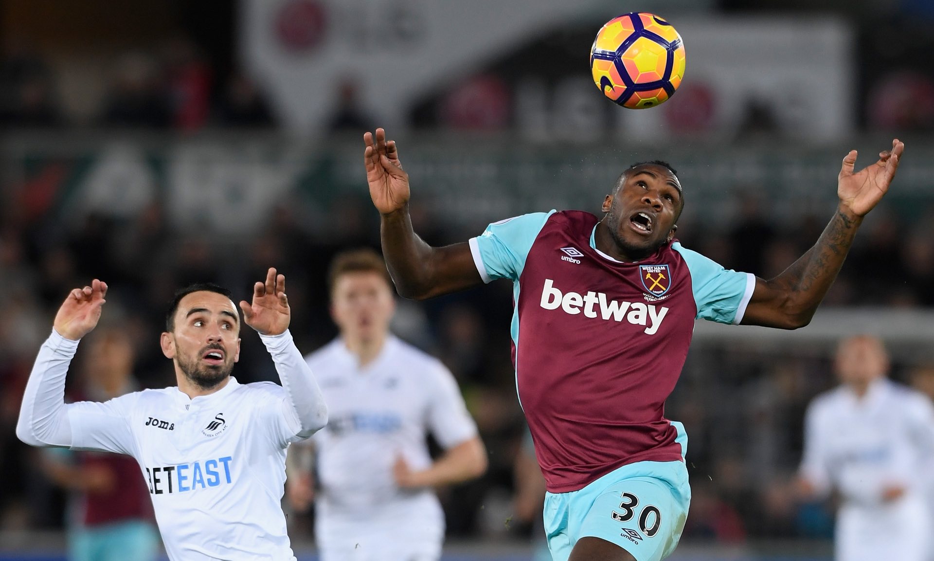 泽林斯基已 泽林斯基已