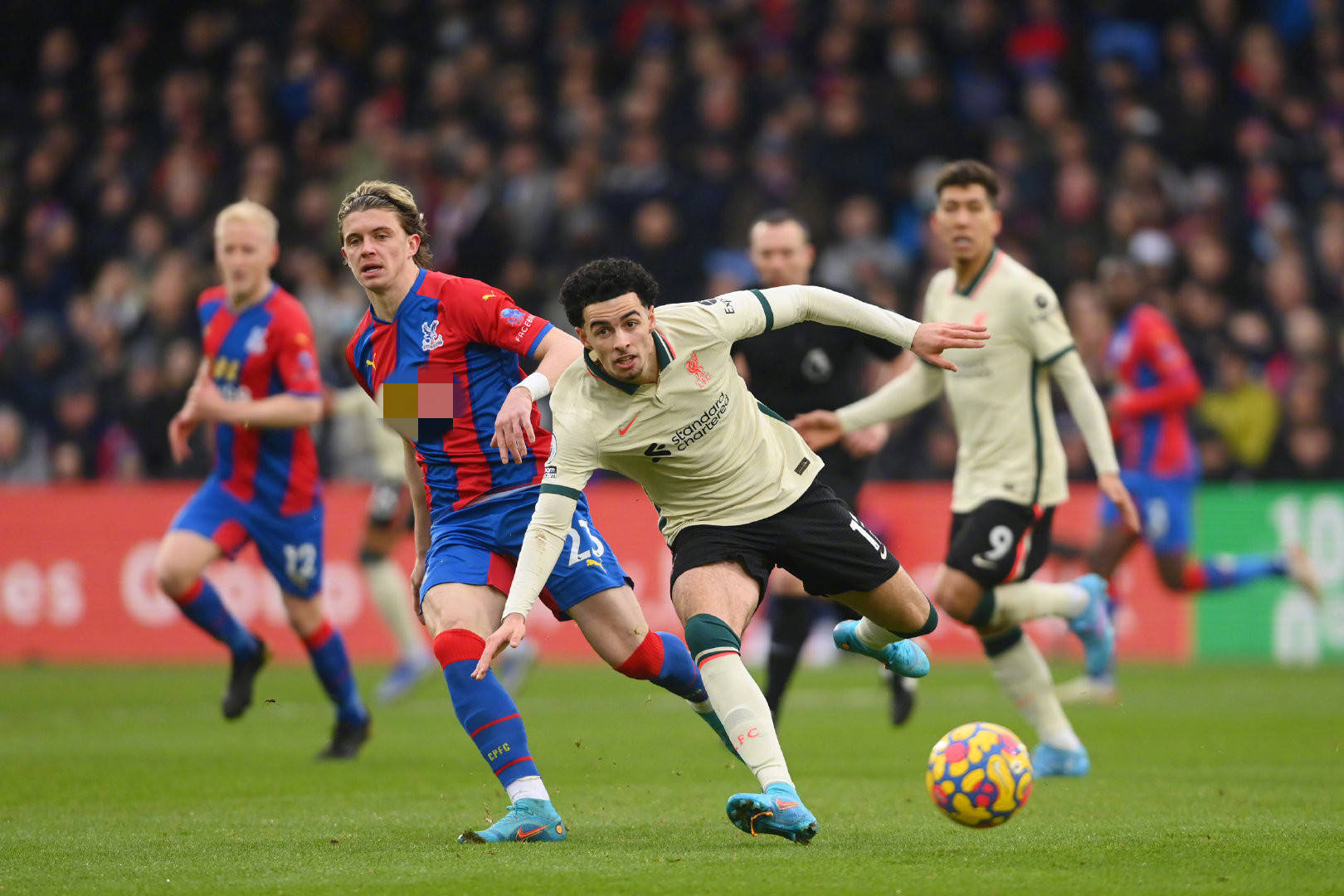 对于整个足 对于整个足