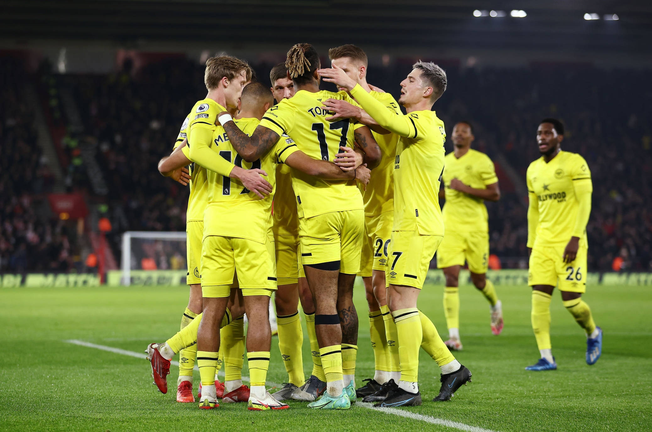 与此形成鲜 与此形成鲜